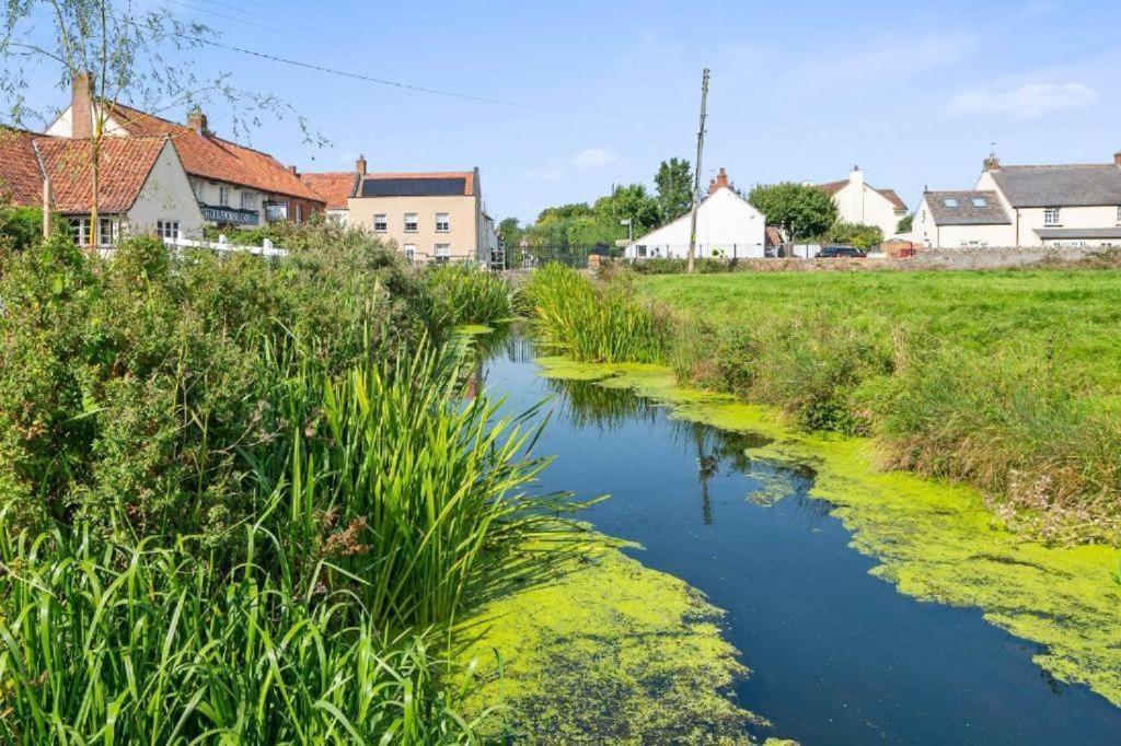 Tranquil Retreat In Heart Of Somerset Countryside Daire Highbridge Dış mekan fotoğraf